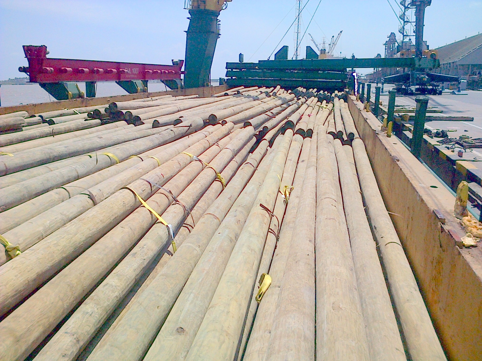 Carga de madera en bodega de buque